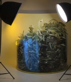 Ballonnement et soutien du foie