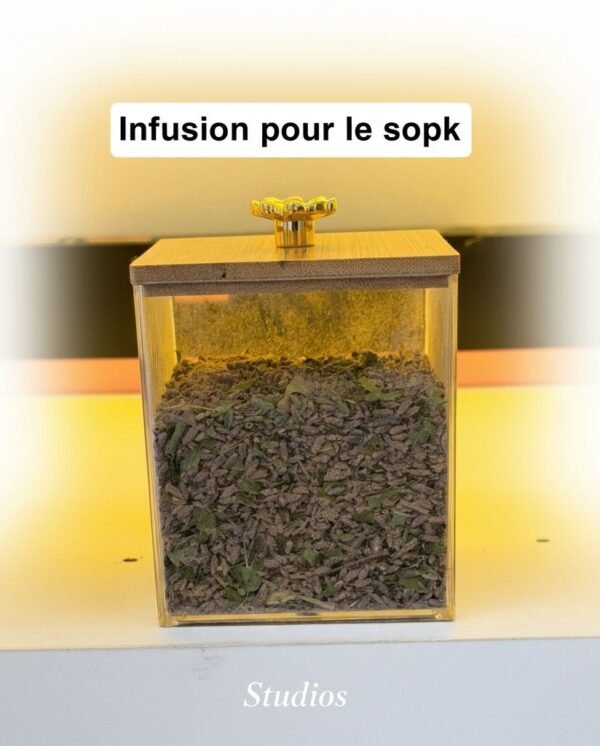 WhatsApp Image 2026-02-26 at 07.38.10 (2)